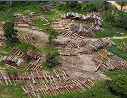 20140613185820-deforestacion-quimbo.jpg