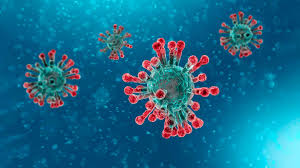 Coronavirus: UN SEPULTURERO QUE ANUNCIA EL FIN DEL CAPITALISMO?