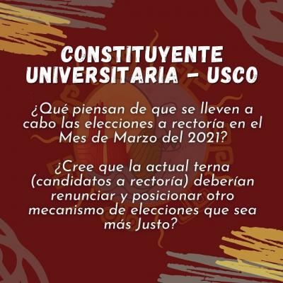 20210131022136-constituyente-usco.jpg