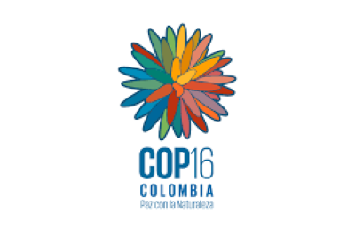 COP 16: ¿Paz con la naturaleza?